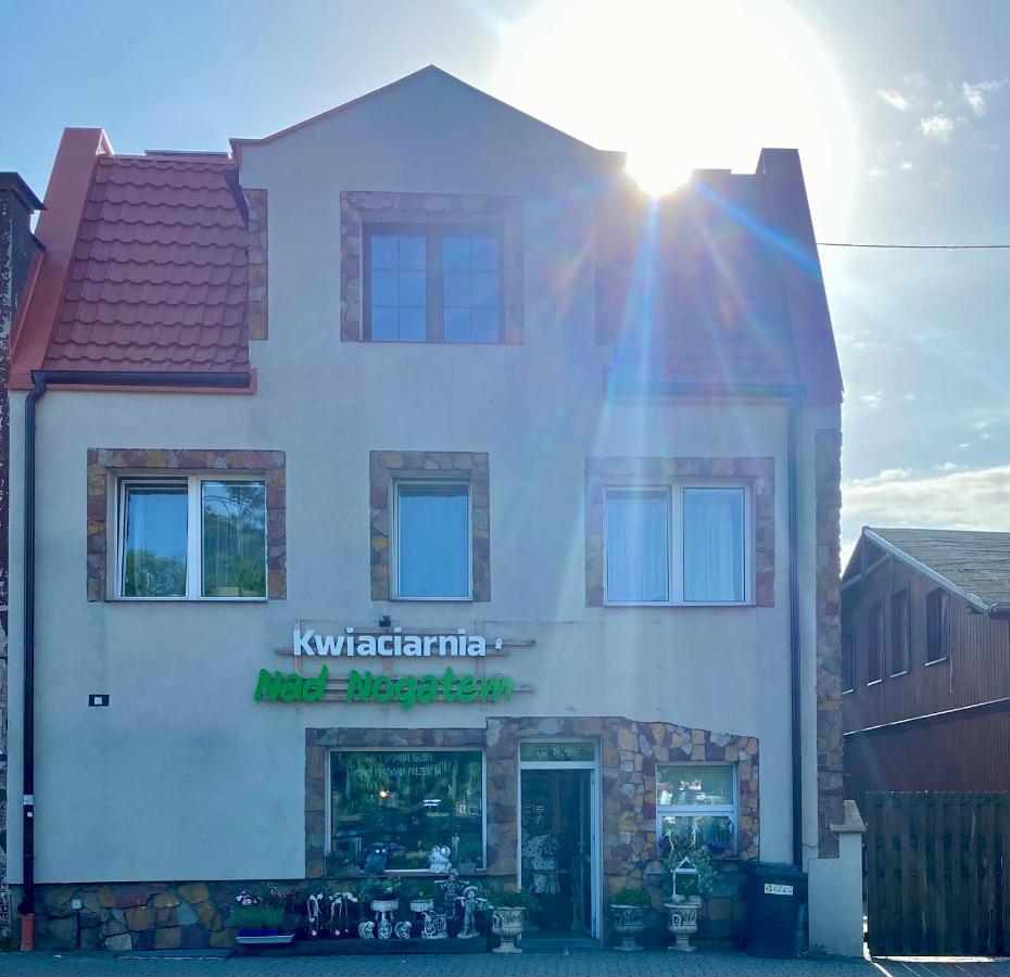 Glowna Apartamenty Nad Nogatem มัลบอร์ก ภายนอก รูปภาพ